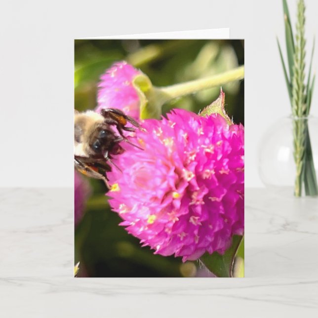 Bin och Blommar Hälsning Kort (Framsida)