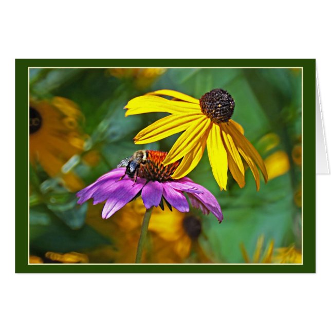 Bin och Blommar Hälsningskort (Framsidan Horizontal)