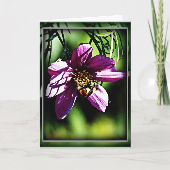 Bin och blommor behöver varandra kort (Framsida)