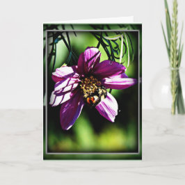 Bin och blommor behöver varandra kort