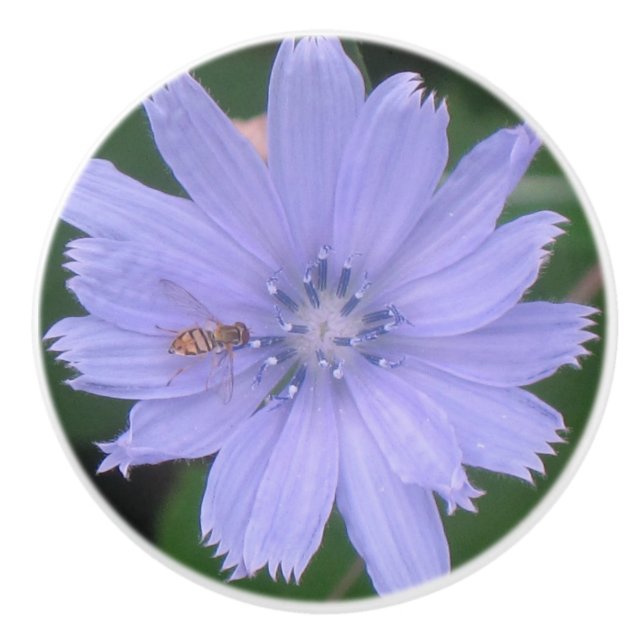 Bin och blommor, keramiska knoppar (Framsidan)