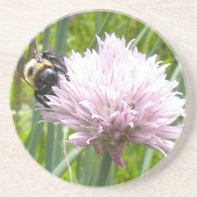 Bin- och chivblommor underlägg sandsten (Framsidan)