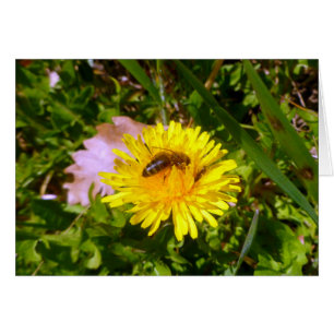 Bin och dandelion hälsningskort