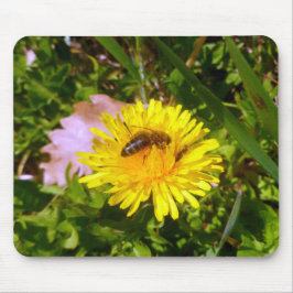 Bin och dandelion musmatta