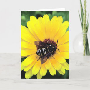 Bin och Gult blomma Kort