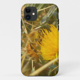 Bin och stjärna Thistle (Centaurea solstitialis)