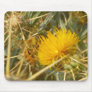 Bin och stjärna Thistle (Centaurea solstitialis) Musmatta