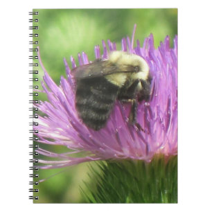 Bin och Thistle bärbar dator Anteckningsbok