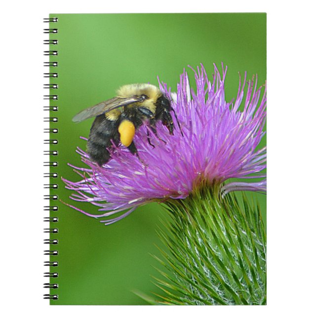 Bin och Thistle bärbar dator Anteckningsbok Med Spiral (Framsidan)