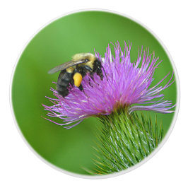 Bin och Thistle Ceramic Knob Knopp