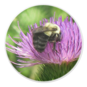 Bin och Thistle Ceramic Knob Knopp