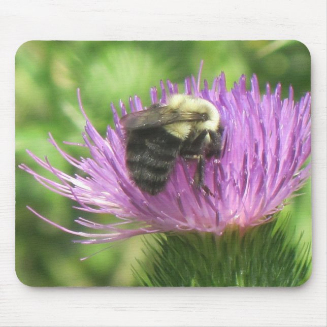 Bin och Thistle Musmatta (Framsidan)
