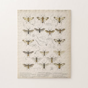 Bin och wasps från Cameron 1883-1890 Pussel