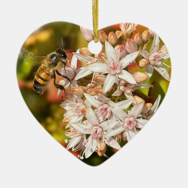 Bin, ornament (Framsidan)