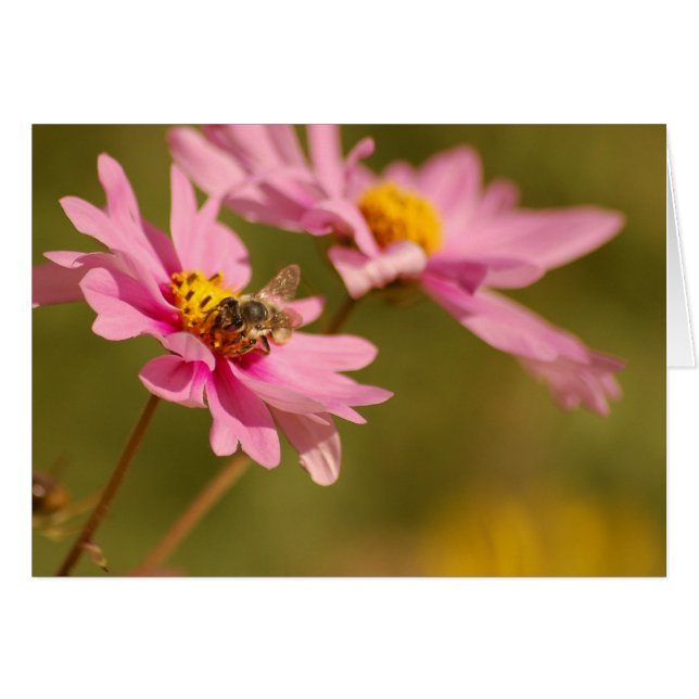 Bin på blomman hälsningskort (Framsidan Horizontal)