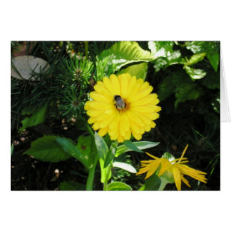 Bin på blomman hälsningskort