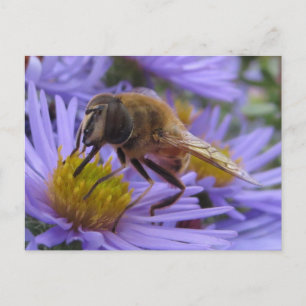 Bin på blomman vykort