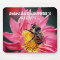 Bin på Daisyns inspirationskvot