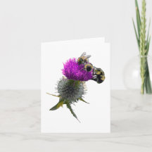 Bin på det här blomsterkortet