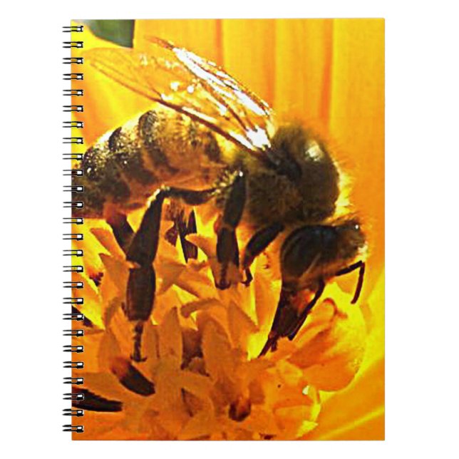 Bin på en blomma anteckningsbok med spiral (Framsidan)
