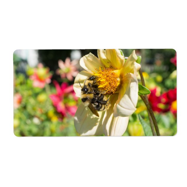 Bin på en blomma fraktsedel (Framsidan)