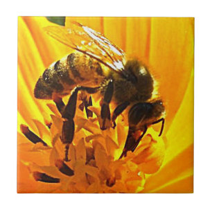 Bin på en blomma kakelplatta