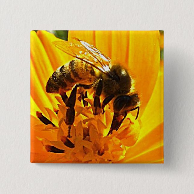 Bin på en blomma knapp (Framsida)