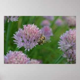 Bin på en blomma poster