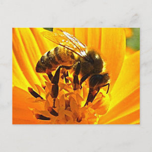 Bin på en blomma vykort