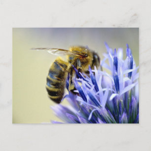 Bin på en blomma vykort