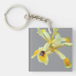 Bin på en gult blomma