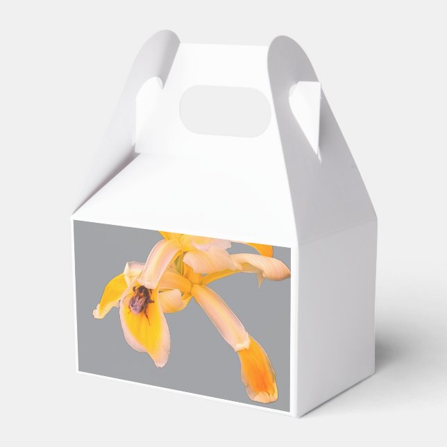 Bin på en gult blomma presentaskar (Framsidan Sidan)