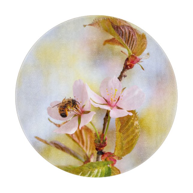 Bin på en körsbärsblomma (Framsidan)