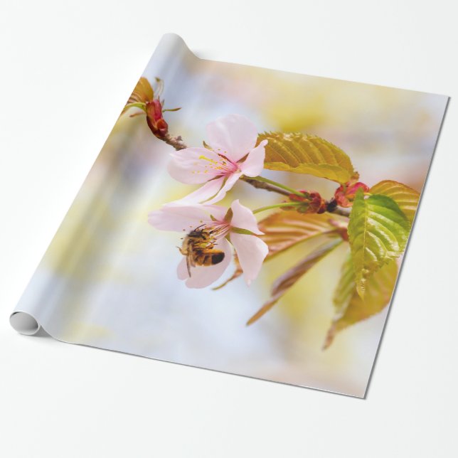Bin på en körsbärsblomma presentpapper (Utrullad)