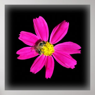 Bin på en rosa blomma poster