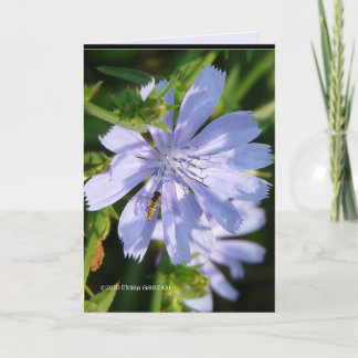 Bin på en Vild Blu Kort