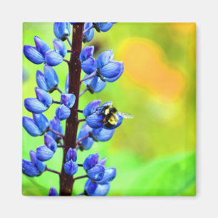 Bin på ett foto med Lupin Magnet