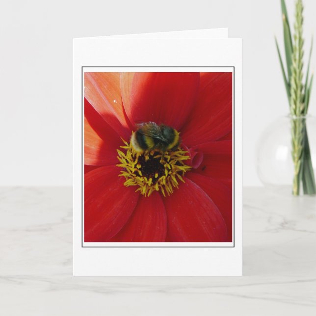Bin på ett gratulationskort för röd blomma kort (Framsida)