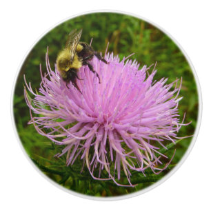 Bin på fuktens natur knopp
