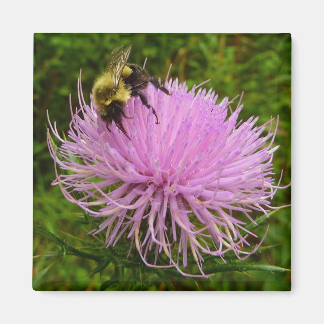 Bin på fuktens natur magnet (Framsidan)
