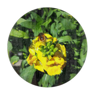 Bin på Gula blommor