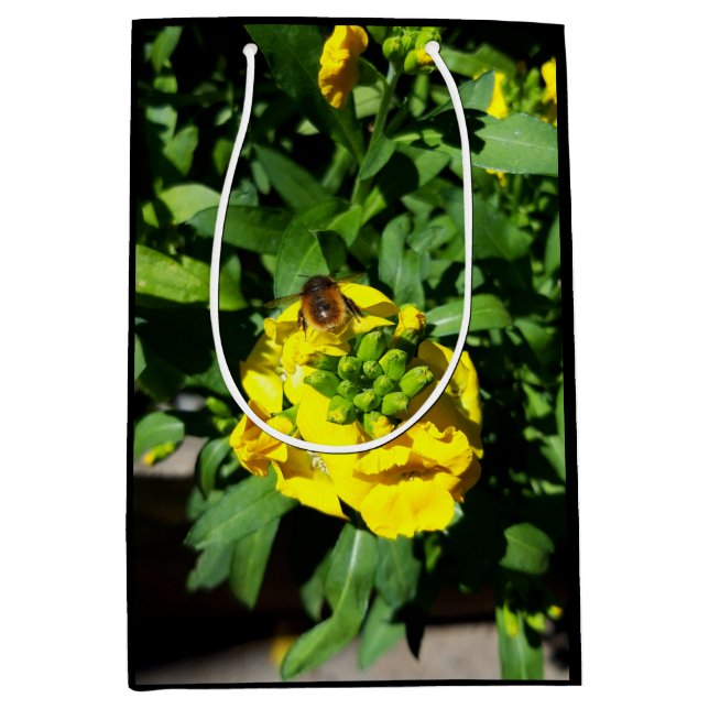 Bin på Gula blommor (Framsidan)