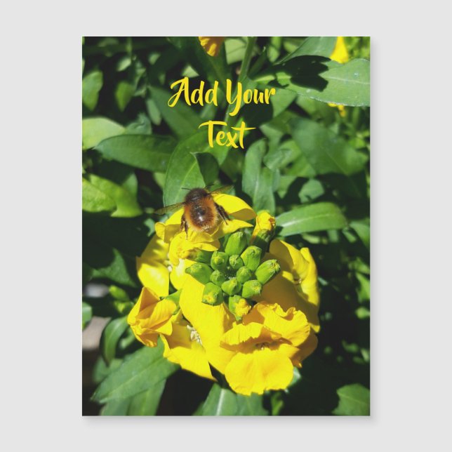 Bin på Gula blommor (Framsida)