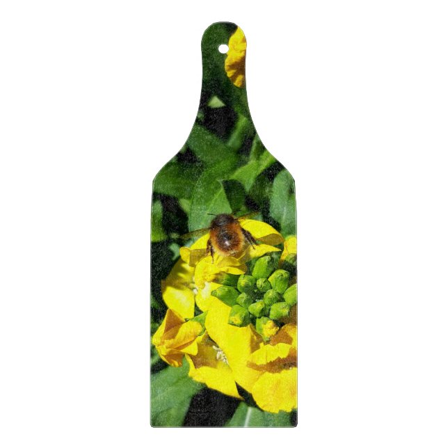 Bin på Gula blommor (Framsidan)