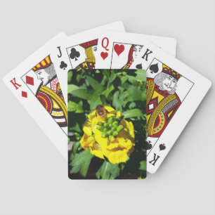 Bin på Gula blommor Casinokort