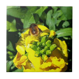 Bin på Gula blommor Kakelplatta