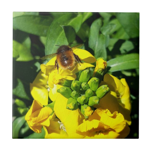 Bin på Gula blommor Kakelplatta (Framsidan)
