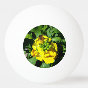 Bin på Gula blommor Pingisboll