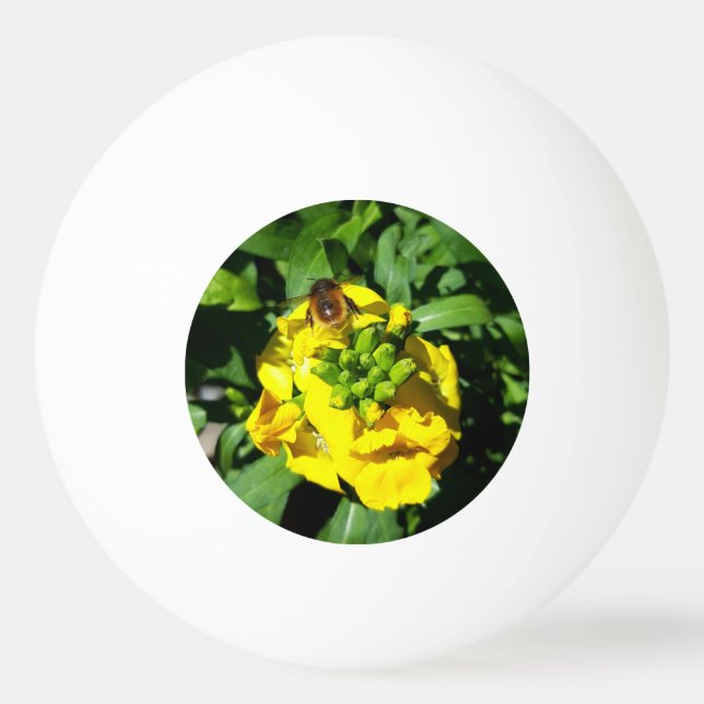 Bin på Gula blommor Pingisboll (Framsidan)