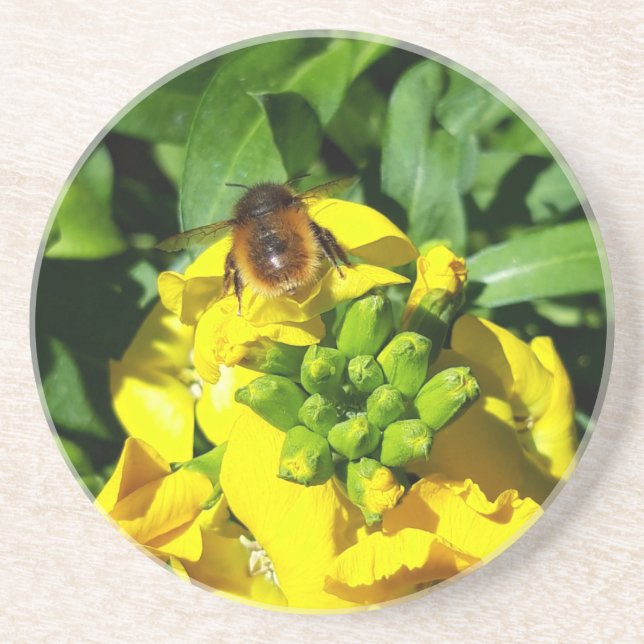 Bin på Gula blommor Underlägg (Framsidan)